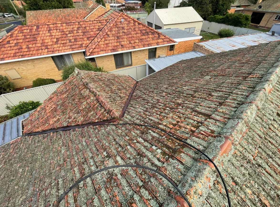 An older terracotta roof covered in lichen above a Ballarat street