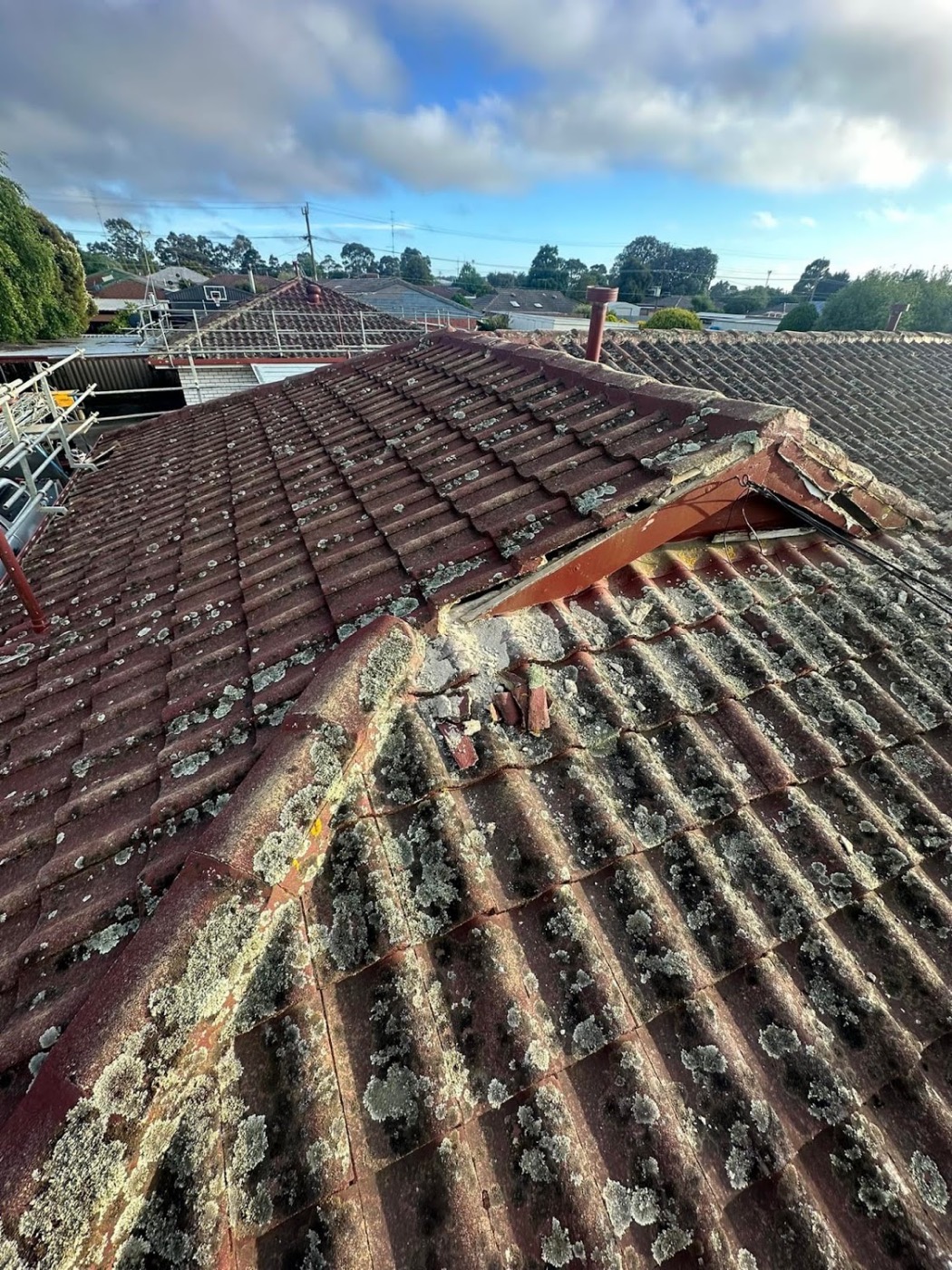 A section of old tile roof lifted open with the timber underneath exposed