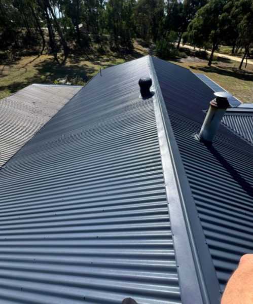 A dark Colorbond ridge running the length of a roof beside gum trees