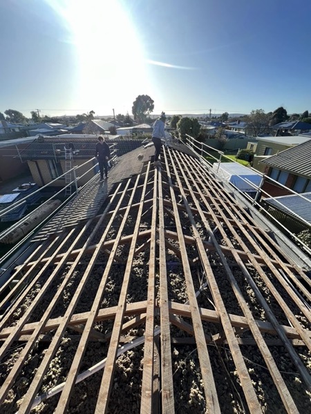 A roof stripped back to bare timber battens with the sun low behind it