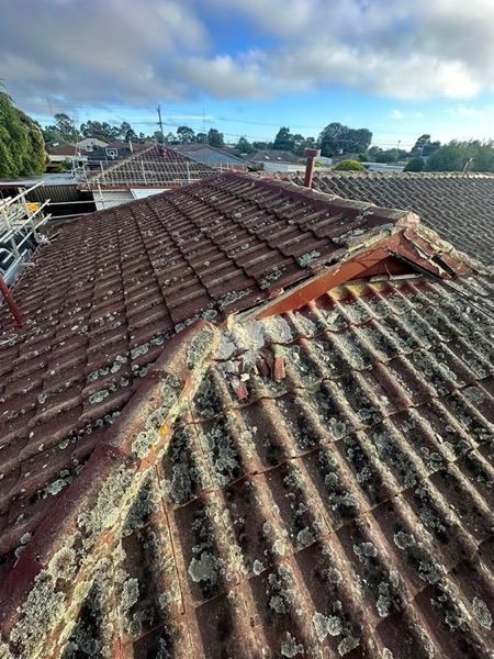A section of old tile roof lifted open with the timber underneath exposed
