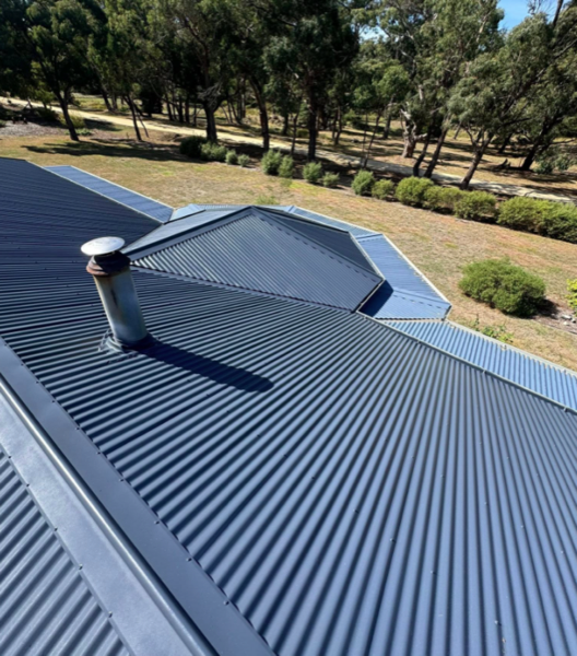 A blue Colorbond roof with a roof vent and trees behind