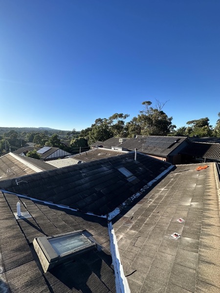 A dark tile roof with a skylight and hills on the horizon